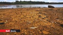 Période sèche : Maurice sous la menace d’une pénurie d’eau en mars