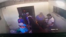 Exclusif : les images de la caméra dans le box du cheval El Patron, traité au mentholatum