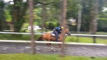 Warm Up : Amritsar a énormément progressé sur sa course de rentrée