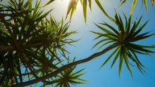 Météo : prévisions pour ce vendredi 5 septembre