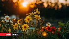 Prévisions météo pour ce lundi