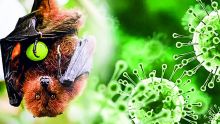 Nipah : la Santé prépare un plan pour faire face à une éventuelle présence du virus à Maurice