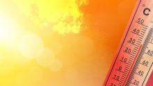 Une température record de 49,9°C enregistrée à New Delhi