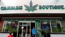 Saisie de Rs 254,5 M de drogue à Plaisance - La Thaïlande : la nouvelle route de l’or vert