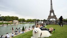 Canicule : fin de la vigilance rouge confirmée, vigilance orange étendue à 80 départements vendredi