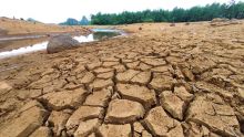 Eau : une des pires sécheresses depuis 1998