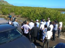 Passage du cyclone Joaninha à Rodrigues : le PM annonce que le plan d’aide pour des «lakaz Trust Fund» sera revu