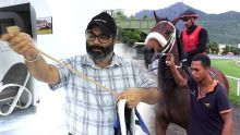 Hippisme - Shirish Narang explique l'utilité des harnachements sur les chevaux