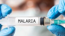 Des cas de paludisme contractés aux Etats-Unis pour la première fois en 20 ans