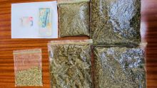 Quatre-Bornes : un jeune homme arrêté avec Rs 1 M de cannabis