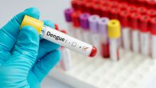 Dengue : 15 cas actifs à Maurice, 9 à Rodrigues