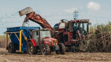 Coup d’envoi de la récolte : Medine table sur une production de 24 750 tonnes de sucre