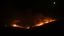 Les pompiers à pied d'oeuvre en Grèce avant la reprise du vent