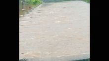 Fortes pluies : le pont de Petite Rivière-Noire, près du collège St-Esprit, inondé 