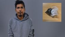 Résidence Ste-Claire, Goodlands : le suspect «Papaye» soupçonné d’avoir jeté Rs 345 000 de drogue en voyant la police