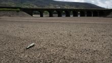 Sécheresse: plus de la moitié de l'Europe et du pourtour méditerranéen affectés depuis avril