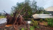 Australie: un puissant cyclone frappe l'une des plus importantes régions minières au monde