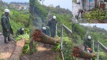 Rodrigues en alerte cyclonique de classe 4 : des soldats de la SMF à pied d’œuvre