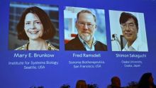 Prix Nobel de médecine : trois chercheurs récompensés pour leurs découvertes sur le système immunitaire