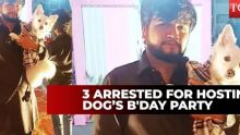 Covid-19 : descente de police lors de l'anniversaire d'un chiot en Inde