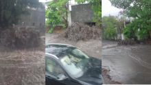 [Vidéo] Des images saisissantes : un torrent d’eau boueuse envahit une partie de l’autoroute à Bell-Village