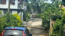 Batimarais : chute d'un pylône depuis le passage de Belal...