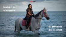 25 ans au service des chevaux : Arunima, une vie au galop