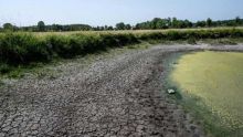 La France en passe de vivre le mois de juillet le plus sec jamais enregistré