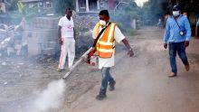 Dengue : le nombre de cas actifs à la baisse, vigilance toujours nécessaire