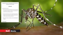 Dengue : dix jours d'isolation à domicile pour toute personne atteinte de la maladie 