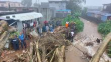 Montée des eaux à Bois-Chéri : des policiers et des pompiers à l’œuvre pour débarrasser un arbre tombé dans une rivière