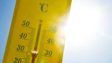 Vague de chaleur : plusieurs régions ont enregistré plus de 34°C
