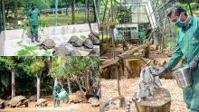 Loisirs : La Vanille Nature Park rouvre ses portes le mercredi 17 juin