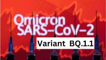 Covid-19-omicron : le nouveau variant BQ.1.1 inquiète