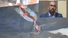 Wakashio : «Nou in resi aret lemorazi. Nou in ferm la ple», affirme Ken Arian