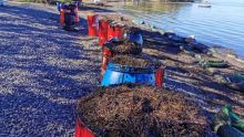 Nettoyage : démantèlement final du MV Wakashio annoncé pour décembre 