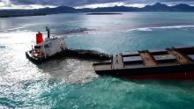 MV Wakashio : la libération des douze membres de l’équipage réclamée 