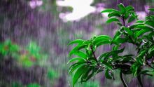 Météo : une veille de fortes pluies en vigueur à Maurice