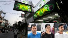 Zamal réunionnais en sursis : le cannabis thai fait un tabac auprès des trafiquants mauriciens 