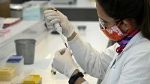 Covid-19 : l'Australie produira le vaccin et le fournira gratuitement à la population (Premier ministre)