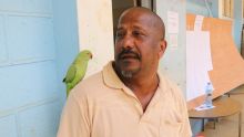 Élections villageoises 2020 :  jamais sans son perroquet 