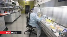 Covid-19 : 736 tests analysés ce mardi, deux cas positifs