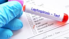 41 cas de leptospirose enregistrés en cinq mois