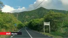 Chamarel : 14 kilos de cannabis, estimés à Rs 20 millions, déterrés