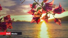 Météo : les prévisions pour ce vendredi 