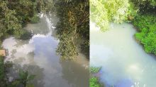 Les habitants de Saint-Pierre scandalisés: L’eau de la Rivière-du-Pouce polluée
