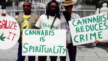 La bande à Jameel Peerally réclame la légalisation du gandia