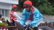 Bardottier au lieu de Plaçais chez Gujadhur