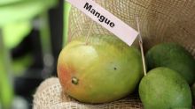 Idées recettes: découvrez la mangue verte autrement