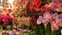 La vente des fleurs artificielles régresse